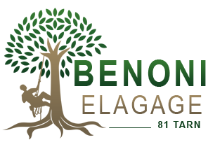 Benoni Elagage